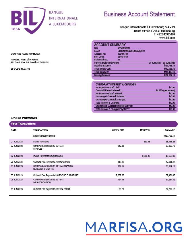 Realistic Banque Internationale a Luxembourg organization checking account statement Word and PDF template